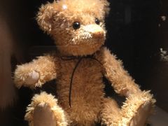 -济州岛泰迪熊博物馆