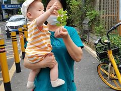 -天鹅到家·保姆月嫂育儿嫂(龙华店)