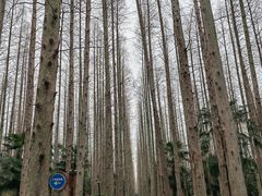 -上海怡沁园度假酒店