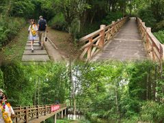 -桤木河湿地公园