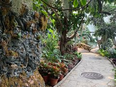 -北京植物园-展览温室