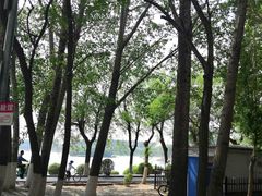 -丁香湖公园