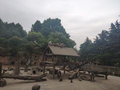 -老北京涮羊肉(航东路店)