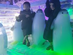 -厦门方特梦幻王国