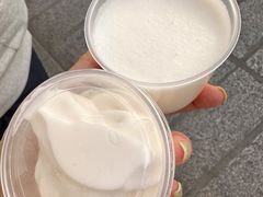 -洪馨椰子