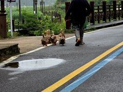 -云中大漈