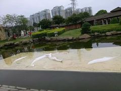 -惠和石文化园