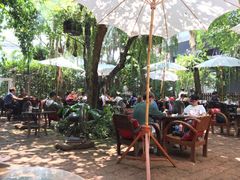 -Fern Forest Cafe