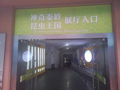 -陕西自然博物馆