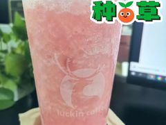 荔枝雪芭-瑞幸咖啡(灵芝地铁站店)