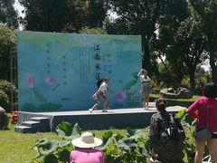 -荷塘月色湿地公园·向阳花洲