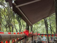 -巴倒烫陆派火锅山庄(南山总店)