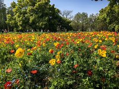 -上海共青森林公园