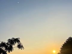 -深圳湾公园(南山区)