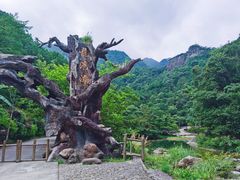 -龙湾潭国家森林公园