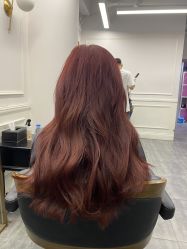 -MODEL'S HAIR