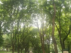 -玲珑塔公园
