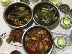 -风鑫铃罗非鱼(道沟店)
