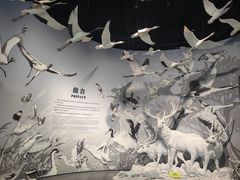 -中国湿地博物馆