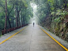 -鼎湖山风景区