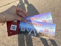 -日照海滨国家森林公园