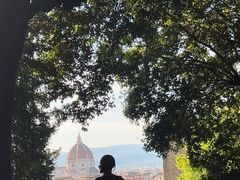 -圣母百花大教堂穹顶