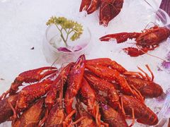 茅台冰醉龙虾-舞虾小说.涮肉.烧烤(国顺东路店)