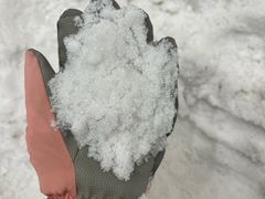 -广州热雪奇迹