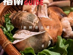 -滇野云南野生菌餐厅(陕西南路店)