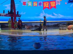 -三亚海昌梦幻海洋不夜城