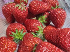 -昌平兴寿秀秀草莓采摘园