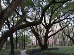 -徐家汇源景区-衡山公园