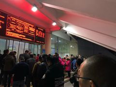 -重庆市奥林匹克体育中心-游泳跳水馆