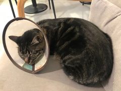 -唐咖精品咖啡(大理古城手冲店)