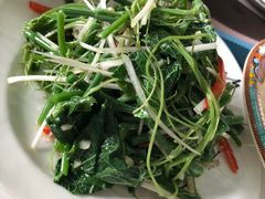 凉拌丝瓜尖-帕米尔食府(白云观店)
