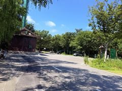 -泗洪洪泽湖湿地景区