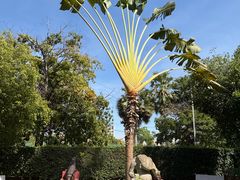 -柬埔寨国家博物馆