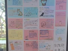 -瑞派中心宠物医院·CT·核磁·神经专科