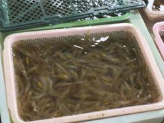 -都斛海鲜街