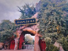 -大槐树寻根祭祖园