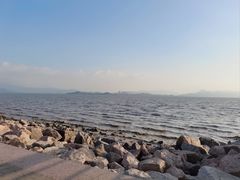 -深圳湾公园(南山区)