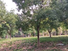 -楠溪江风景名胜区