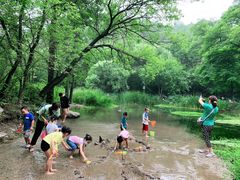 -白水寺森林公园