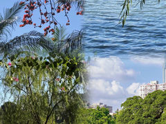 -东山湖公园