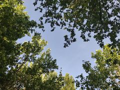 -大兴滨河森林公园