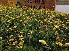 -光明小镇欢乐田园