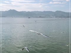 -海埂大坝