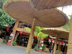 -海南槟榔谷黎苗文化旅游区