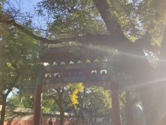 -北京国子监胡同