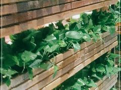 -辛香汇(大华第一坊店)